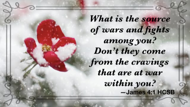 Peace and contentment