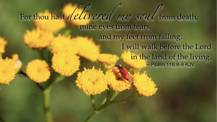 Walking in His strength