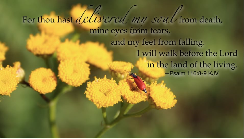 Walking in His strength