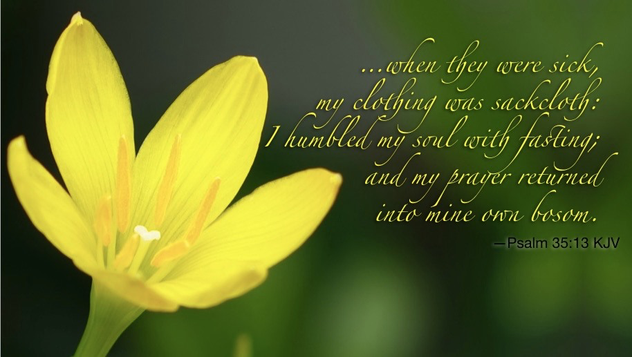 Leave the vindication