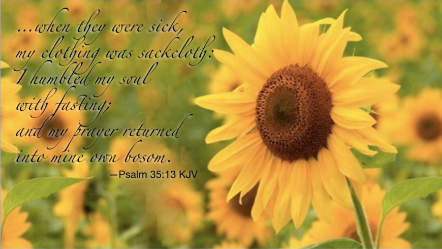 Hymn day: “Jesus Wants Me For a Sunbeam”