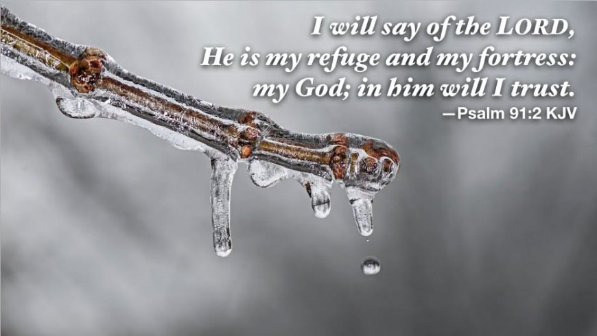 Your refuge and fortress