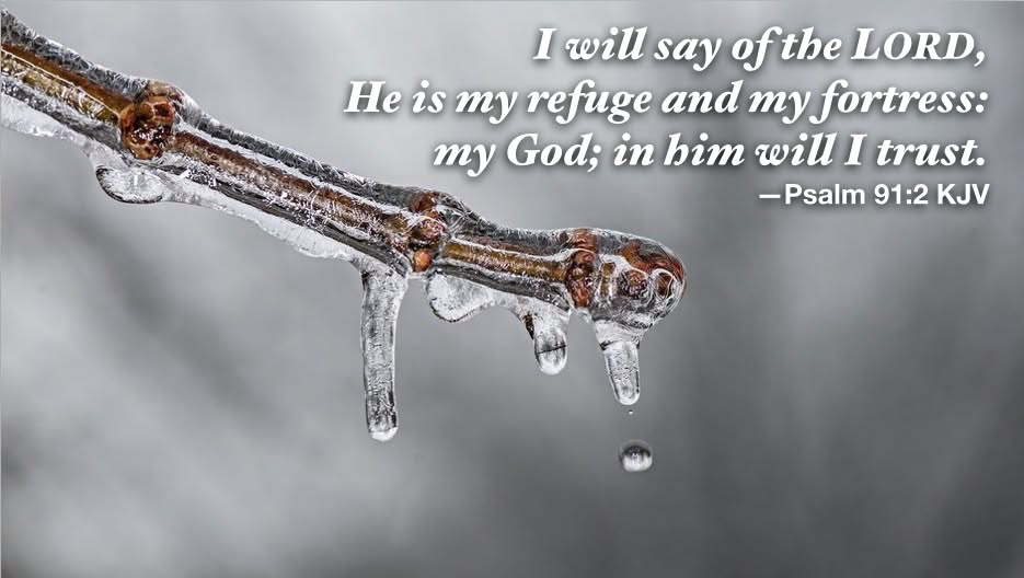 Your refuge and fortress