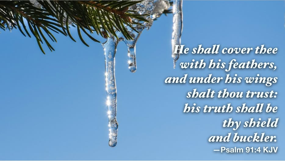 Hymn day: “Under His Wings I am Safely Abiding”