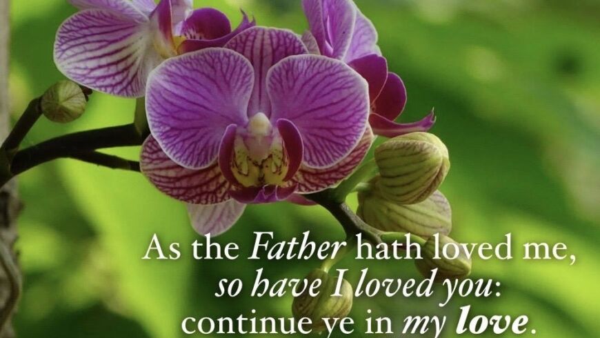 Hymn day: “My Jesus, I Love Thee”