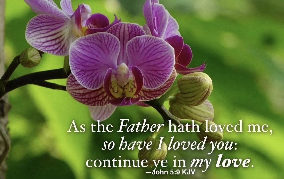 Hymn day: “My Jesus, I Love Thee”