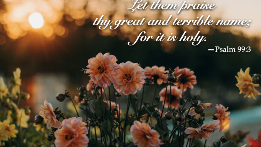 Hymn day: “Holy, Holy, Holy! Lord God Almighty!”