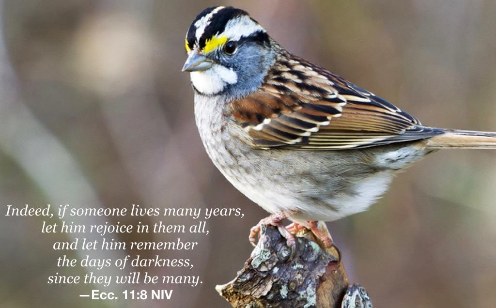 The light of eternity