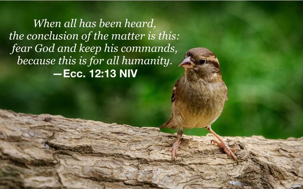 Hymn day: “Living for Jesus”