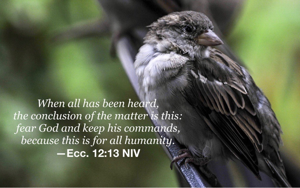 A life of joy and purpose