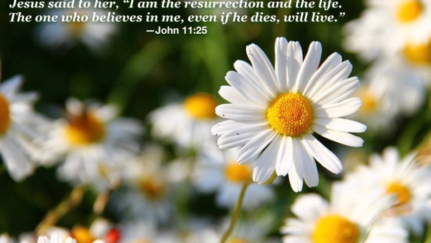 A better life awaits