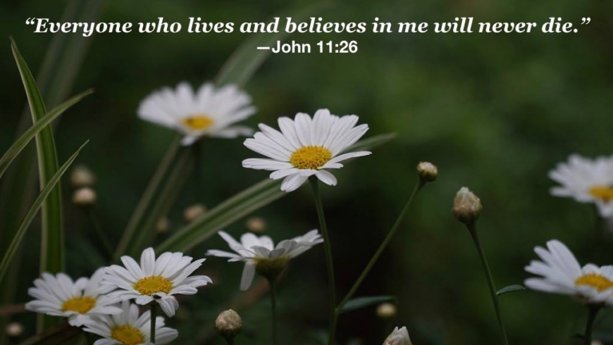 Hymn day: “Jesus, Keep Me Near the Cross”
