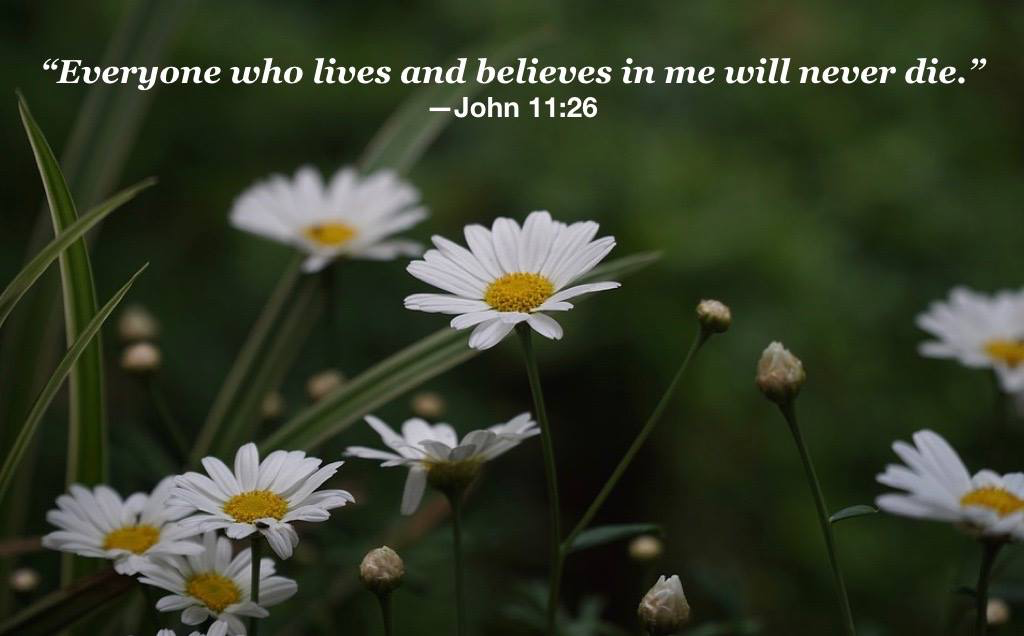 Hymn day: “Jesus, Keep Me Near the Cross”