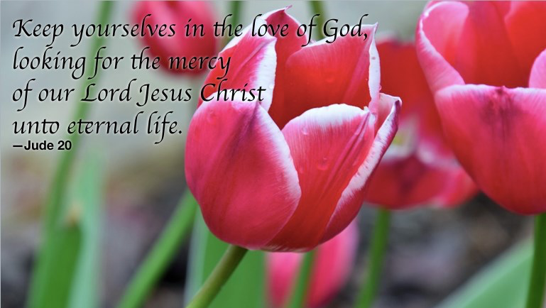 Walk in faith