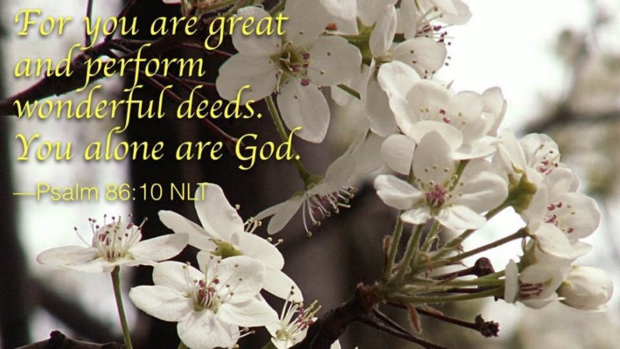 Wonderful deeds