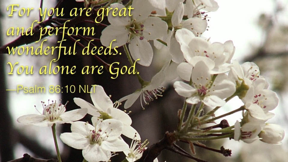 Wonderful deeds