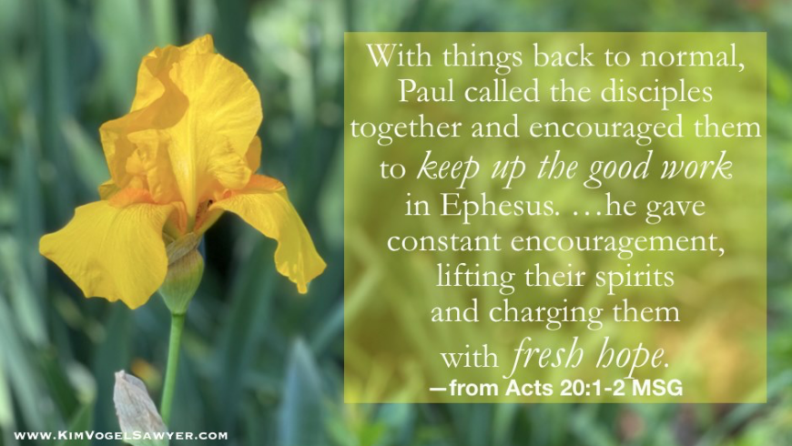 Fresh hope