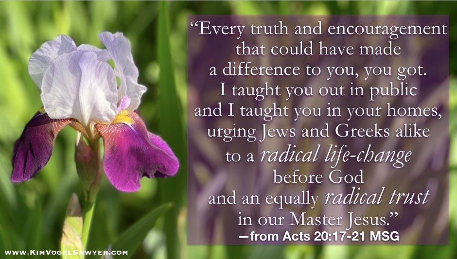 Hymn day: “New Life in Christ”