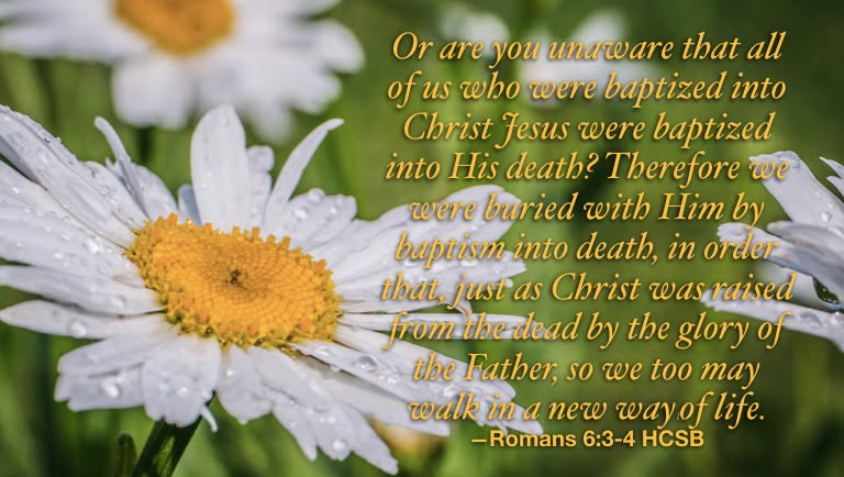 How we glorify the Father