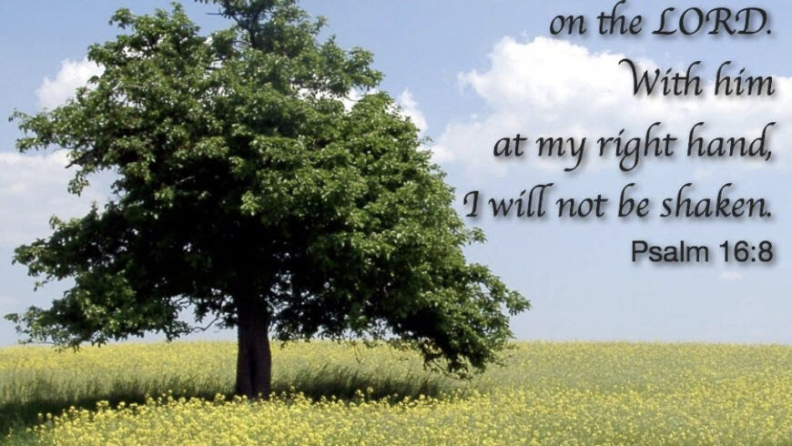 Hymn day: “We Shall Not Be Moved”