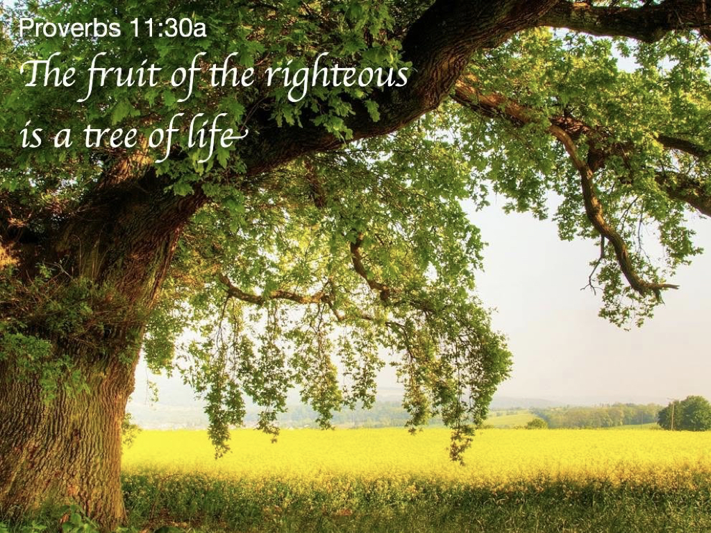 Fresh Word