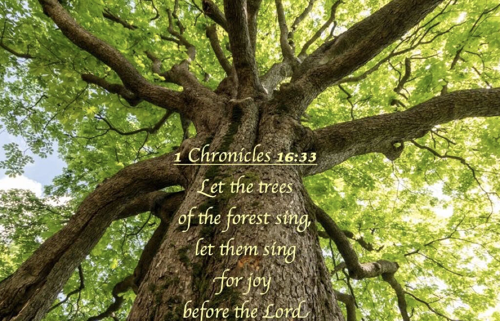 Praising God