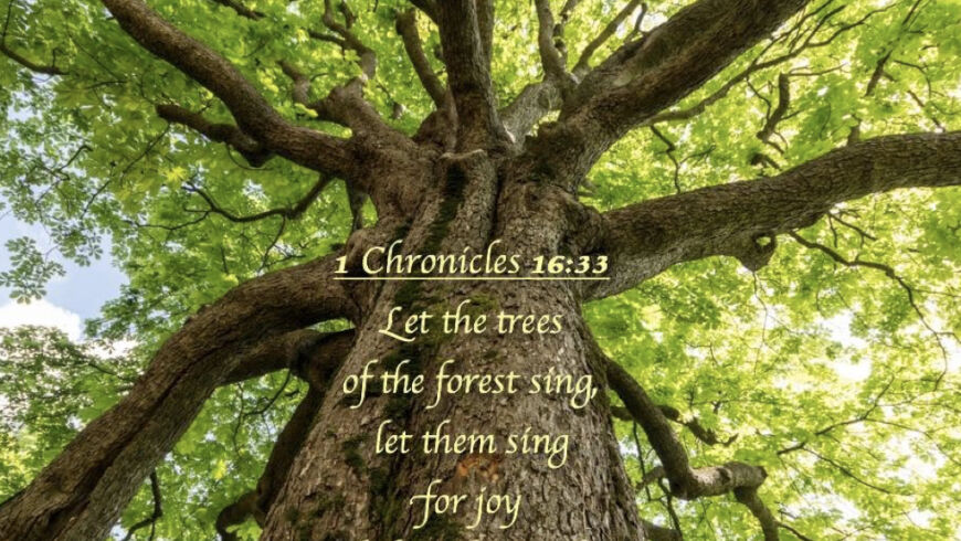 Praising God