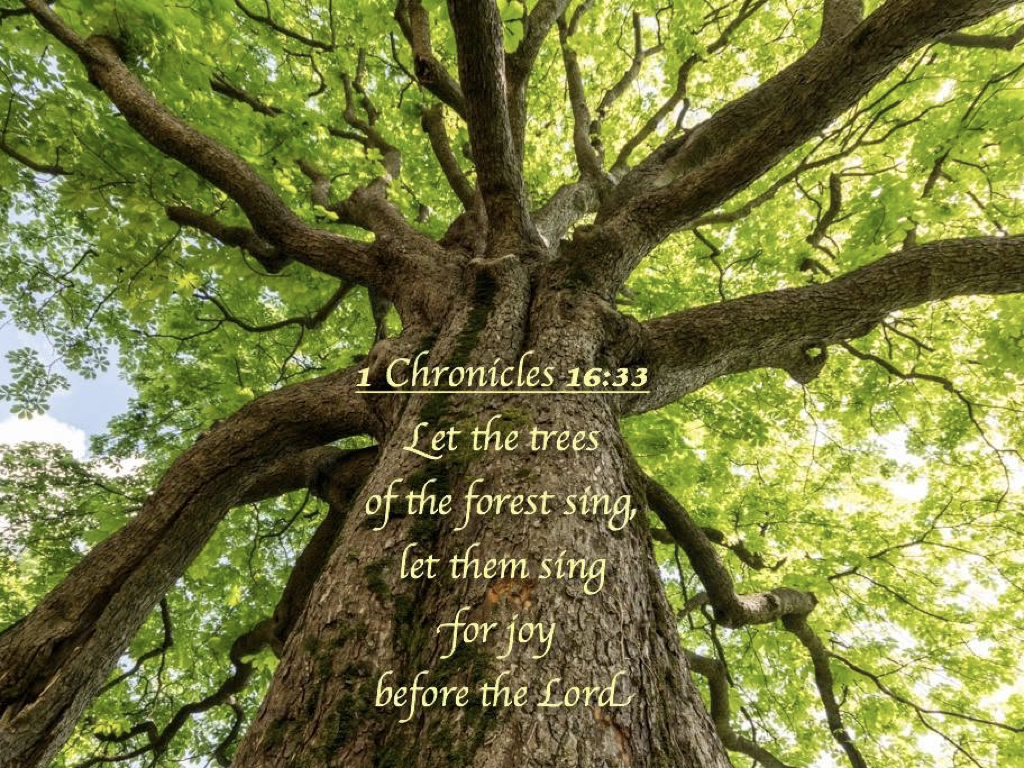 Praising God