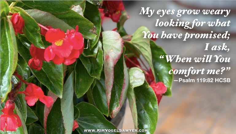 Wait on His promises