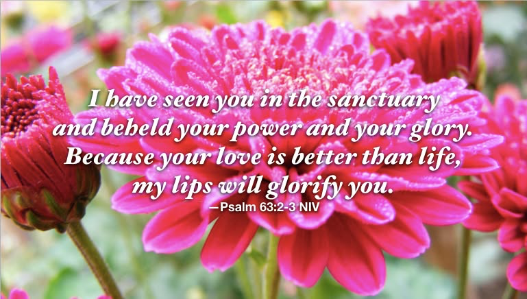 Your sanctuary