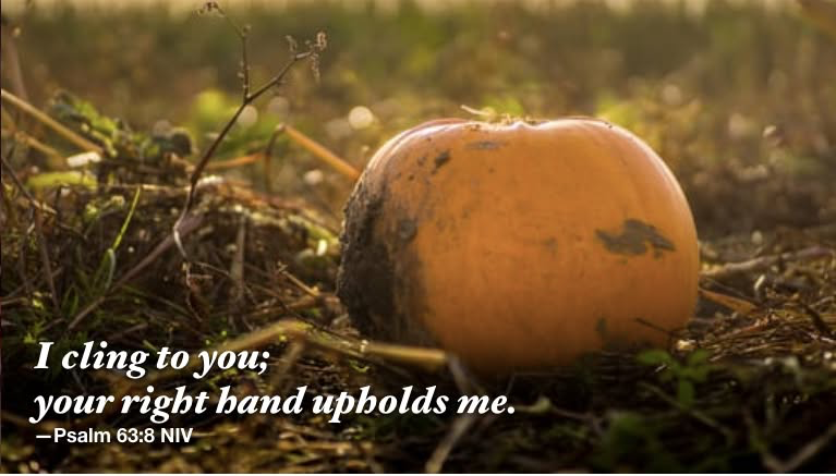Cling to Him